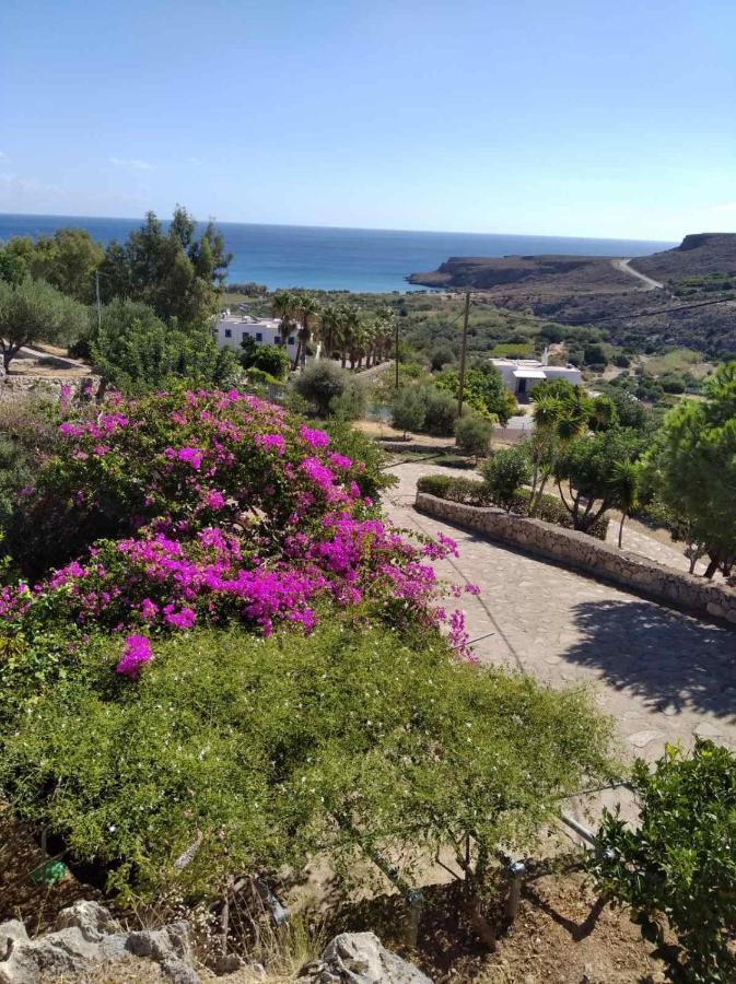 Anthia Apartment Sea View Zakros Luaran gambar